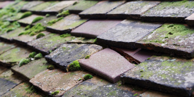 Llanvihangel Gobion roof repair costs